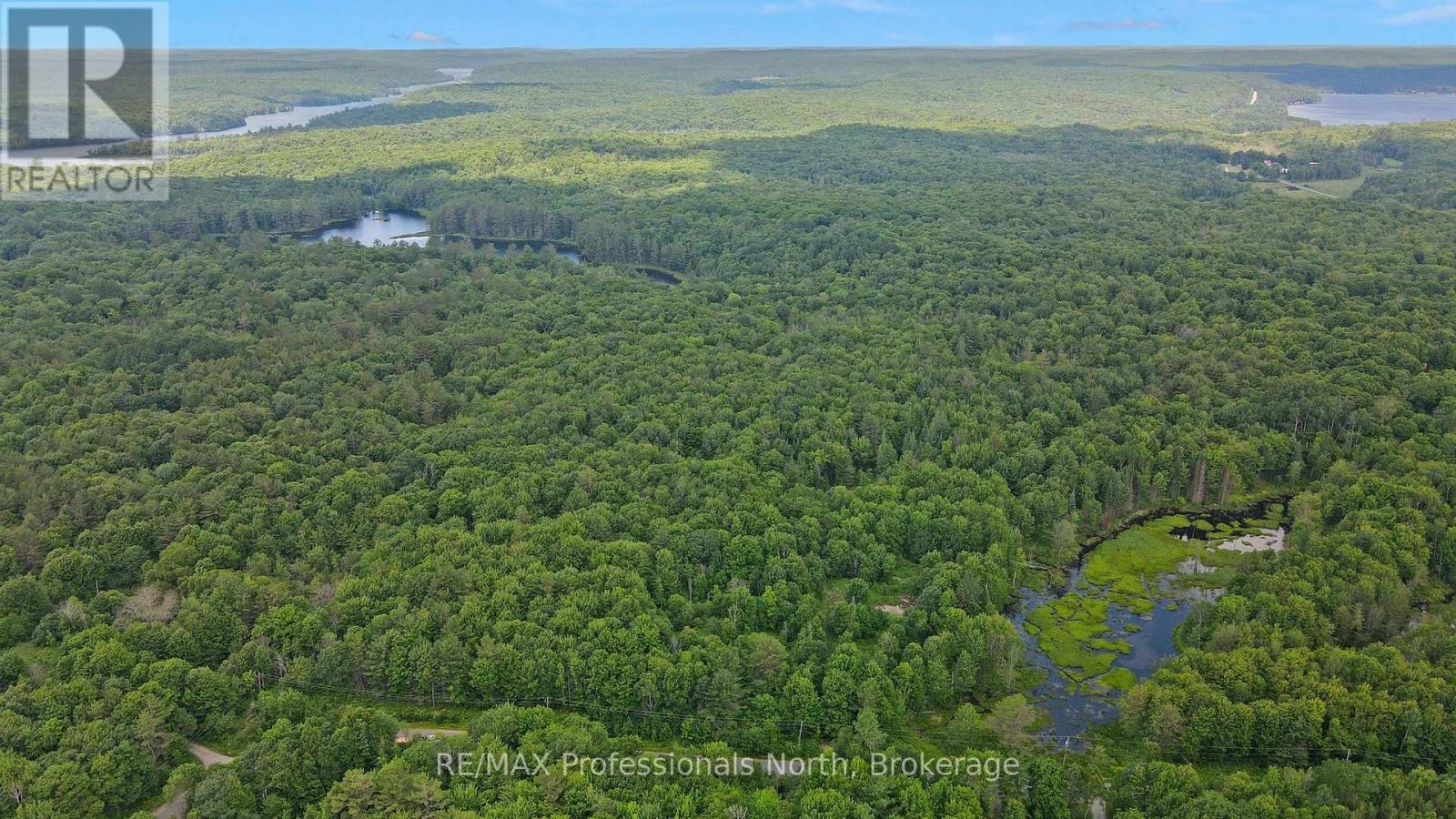 1134 Walkers Line Road, Algonquin Highlands, Ontario  K0M 1S0 - Photo 20 - X12507824