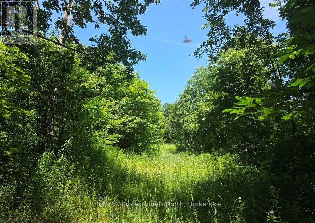 1134 Walkers Line Road, Algonquin Highlands, Ontario  K0M 1S0 - Photo 17 - X12507824