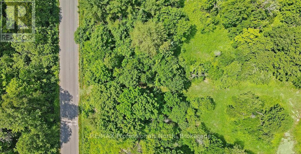 1134 Walkers Line Road, Algonquin Highlands, Ontario  K0M 1S0 - Photo 19 - X12507824