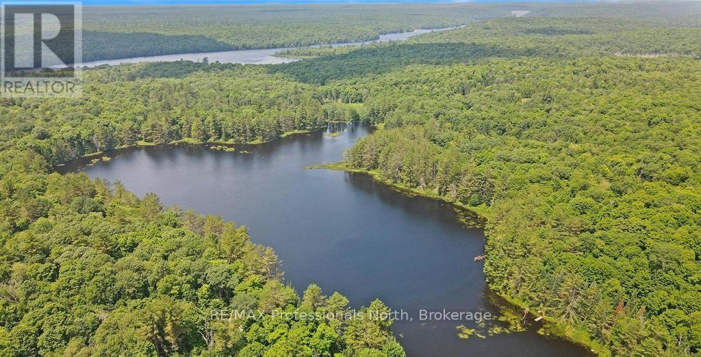 1134 Walkers Line Road, Algonquin Highlands, Ontario  K0M 1S0 - Photo 8 - X12507824