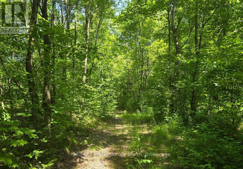 1134 Walkers Line Road, Algonquin Highlands, Ontario  K0M 1S0 - Photo 5 - X12507824