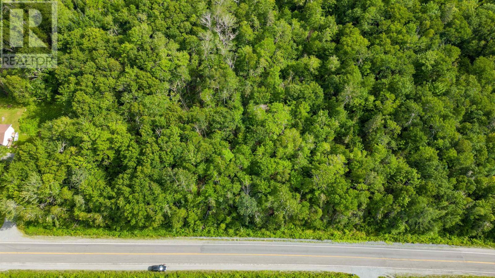 Sheet Harbour Road, Mill Lake, Nova Scotia  B0N 1M0 - Photo 8 - 202504042