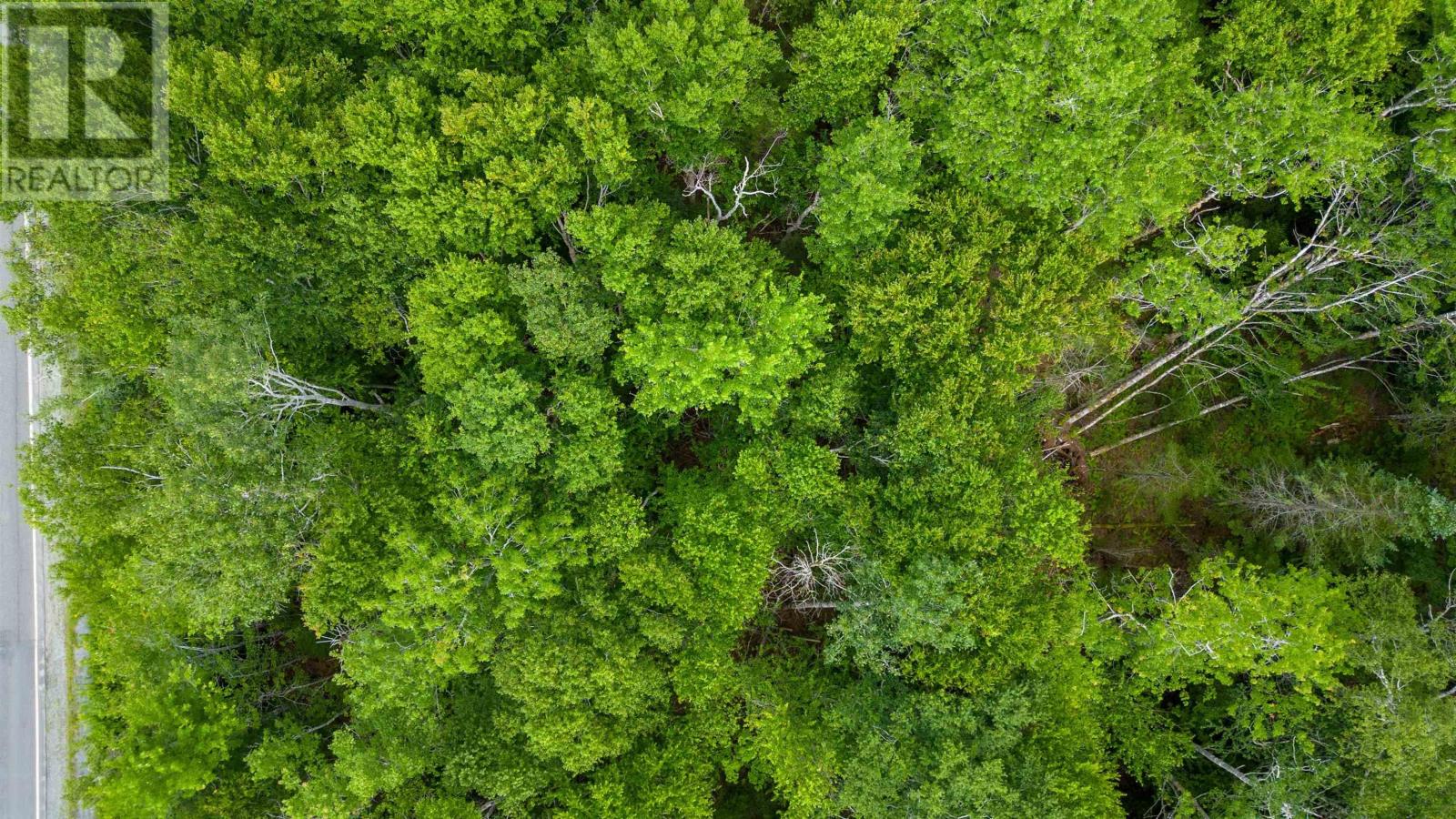 Sheet Harbour Road, Mill Lake, Nova Scotia  B0N 1M0 - Photo 9 - 202504042
