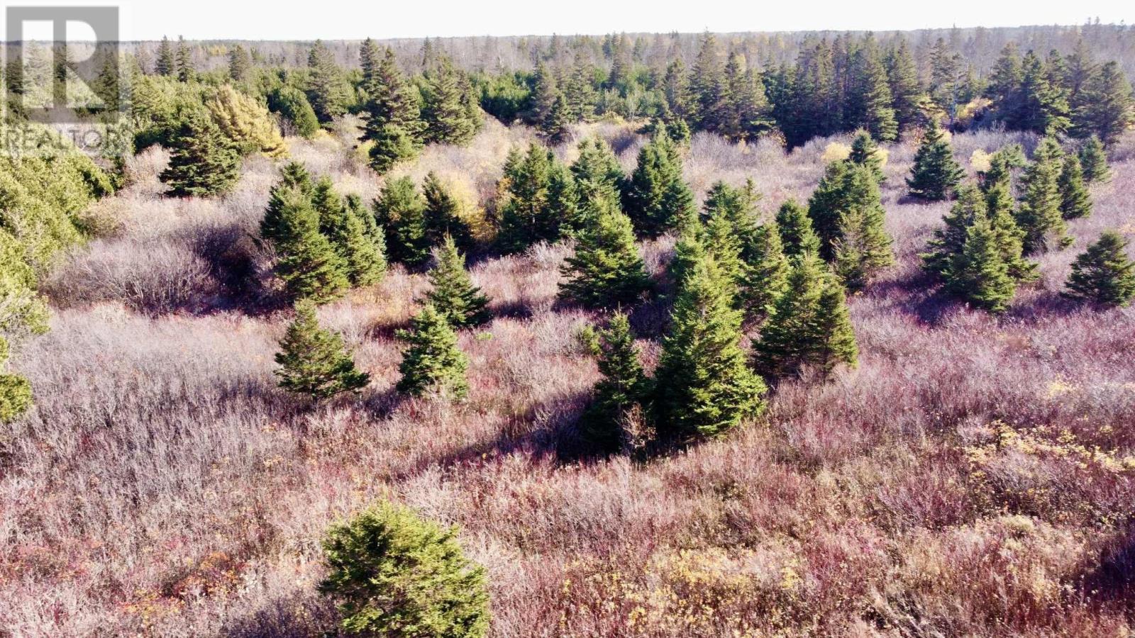 863233 Sea Watch Drive, Miminegash, Prince Edward Island  C0B 1Z0 - Photo 50 - 202527322