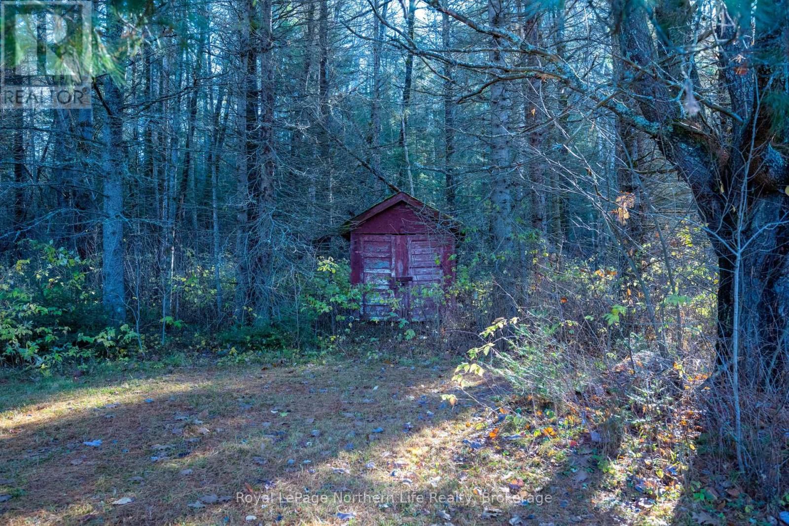 126 Highway 531, Bonfield, Ontario P0H 1E0 - Photo 37 - X12511816