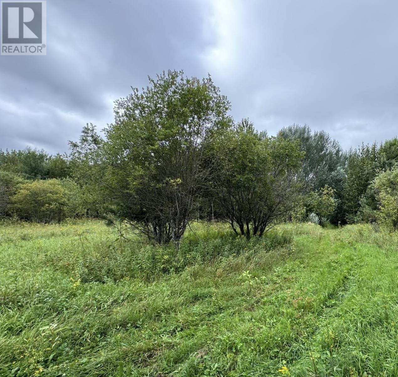 Pcl 16721 Sunset Drive, Fort Frances, Ontario  P9A 2T6 - Photo 13 - TB252666