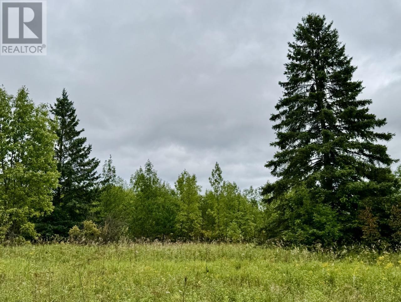 Pcl 16721 Sunset Drive, Fort Frances, Ontario  P9A 2T6 - Photo 15 - TB252666