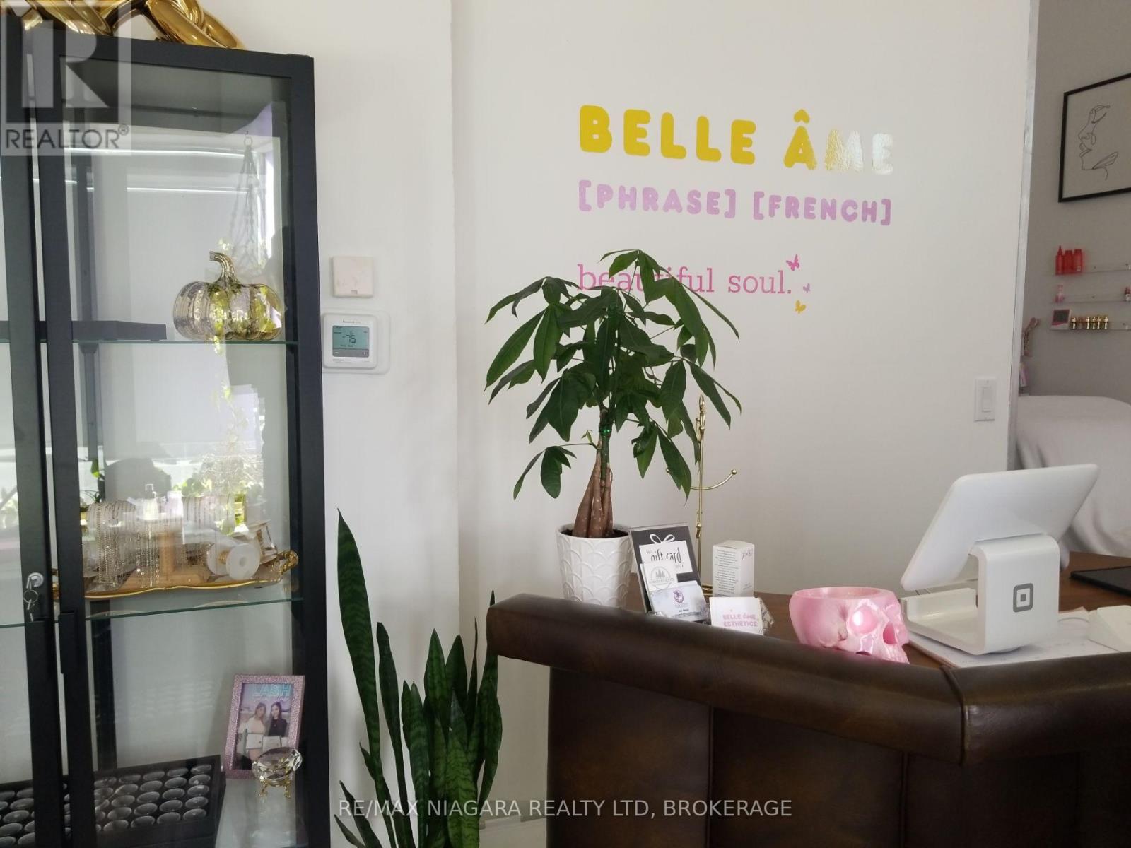 Lower - 210 Jarvis Street, Fort Erie, Ontario  L2A 2S5 - Photo 3 - X12511776