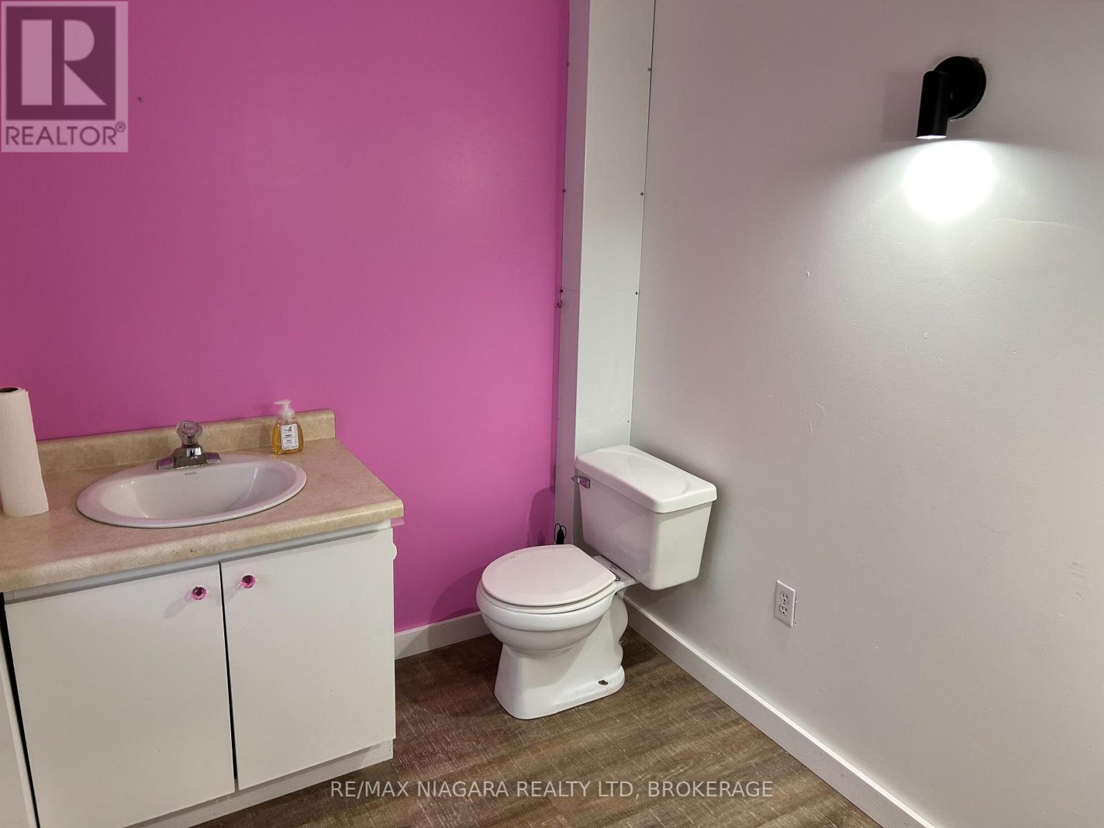 Lower - 210 Jarvis Street, Fort Erie, Ontario  L2A 2S5 - Photo 7 - X12511776