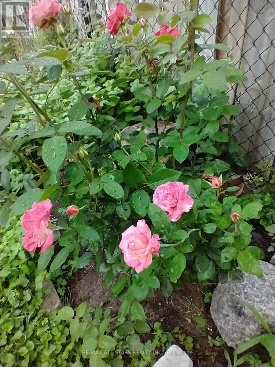 296 Terrace Drive, Georgina, Ontario  L4P 2Y8 - Photo 36 - N12511338