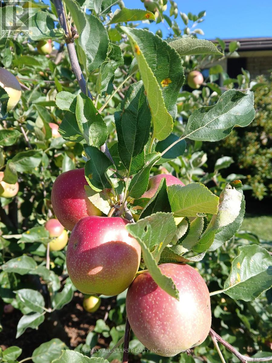 296 Terrace Drive, Georgina, Ontario  L4P 2Y8 - Photo 37 - N12511338