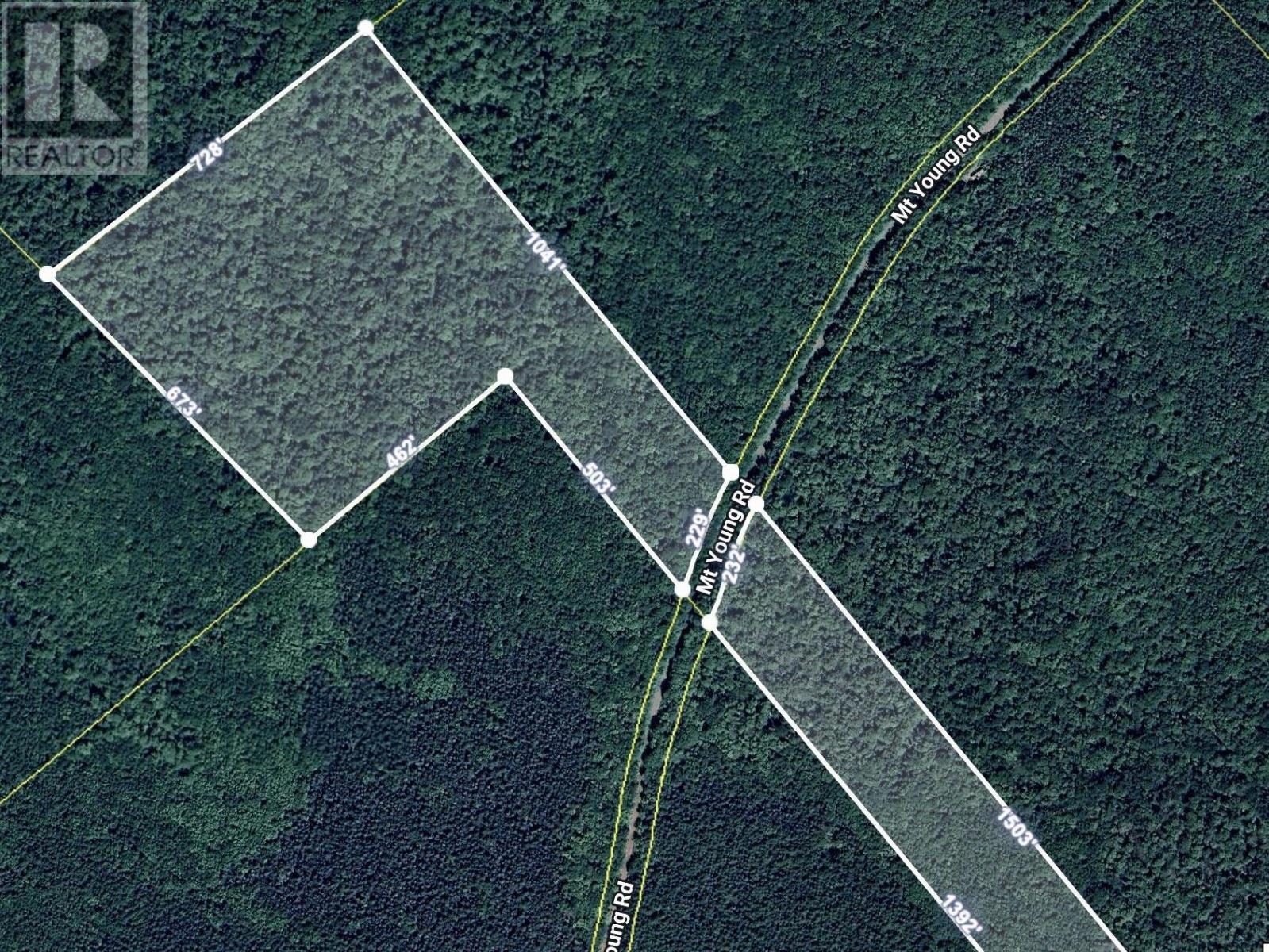 0 Mt.young Rd. Road, Scotsville, Nova Scotia  B0E 1N0 - Photo 2 - 202422268