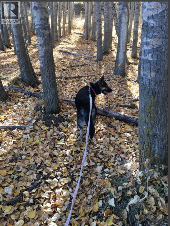 16, 30480 Range Road 12, Rural Mountain View County, Alberta  T0M 0N0 - Photo 38 - A2240777