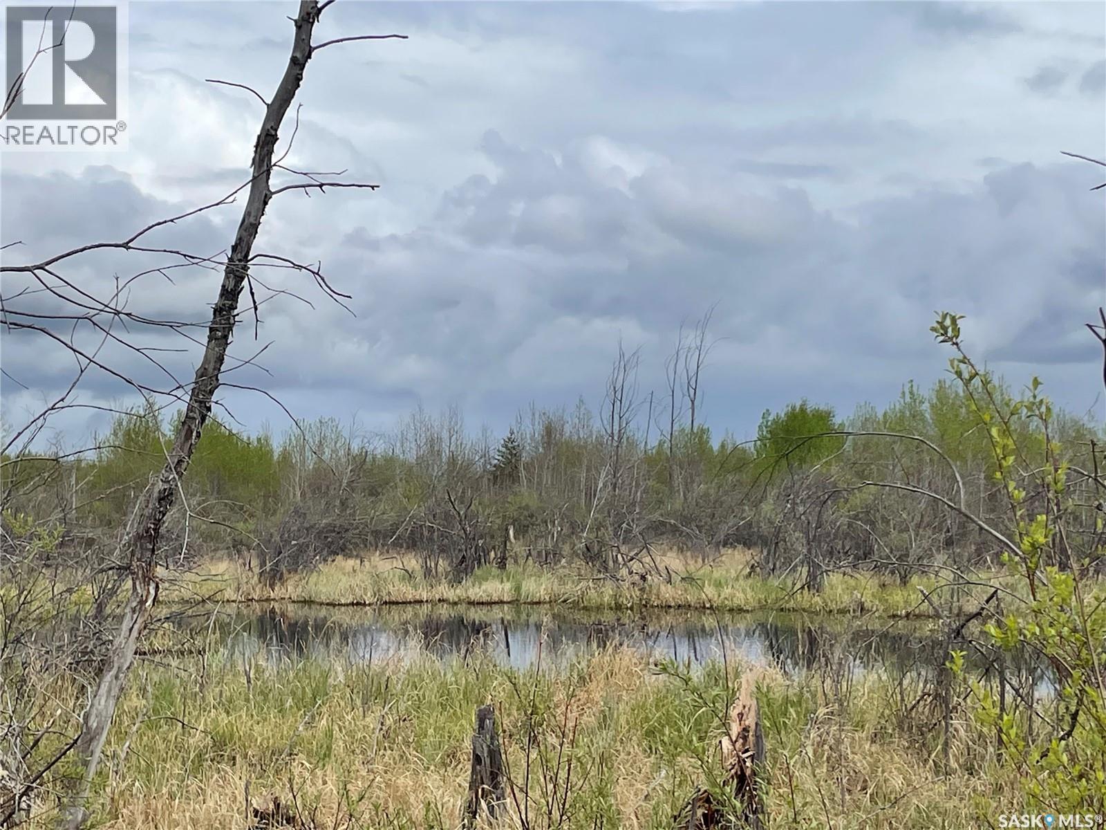 5.5km South Of Dorintosh Lot 3, Meadow Lake Rm No.588, Saskatchewan  S0M 0T0 - Photo 7 - SK022400