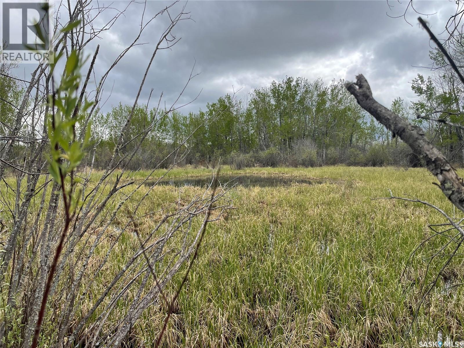 5.5km South Of Dorintosh Lot 2, Meadow Lake Rm No.588, Saskatchewan  S0M 0T0 - Photo 10 - SK022396