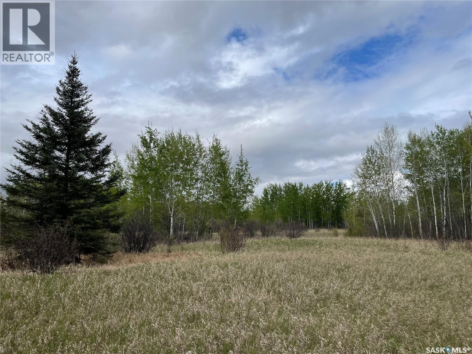 5.5km South Of Dorintosh Lot 2, Meadow Lake Rm No.588, Saskatchewan  S0M 0T0 - Photo 5 - SK022396