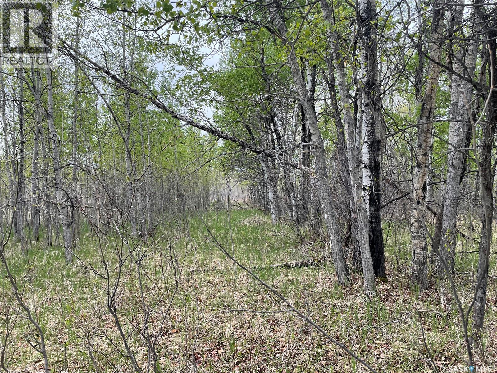 5.5km South Of Dorintosh Lot 2, Meadow Lake Rm No.588, Saskatchewan  S0M 0T0 - Photo 7 - SK022396