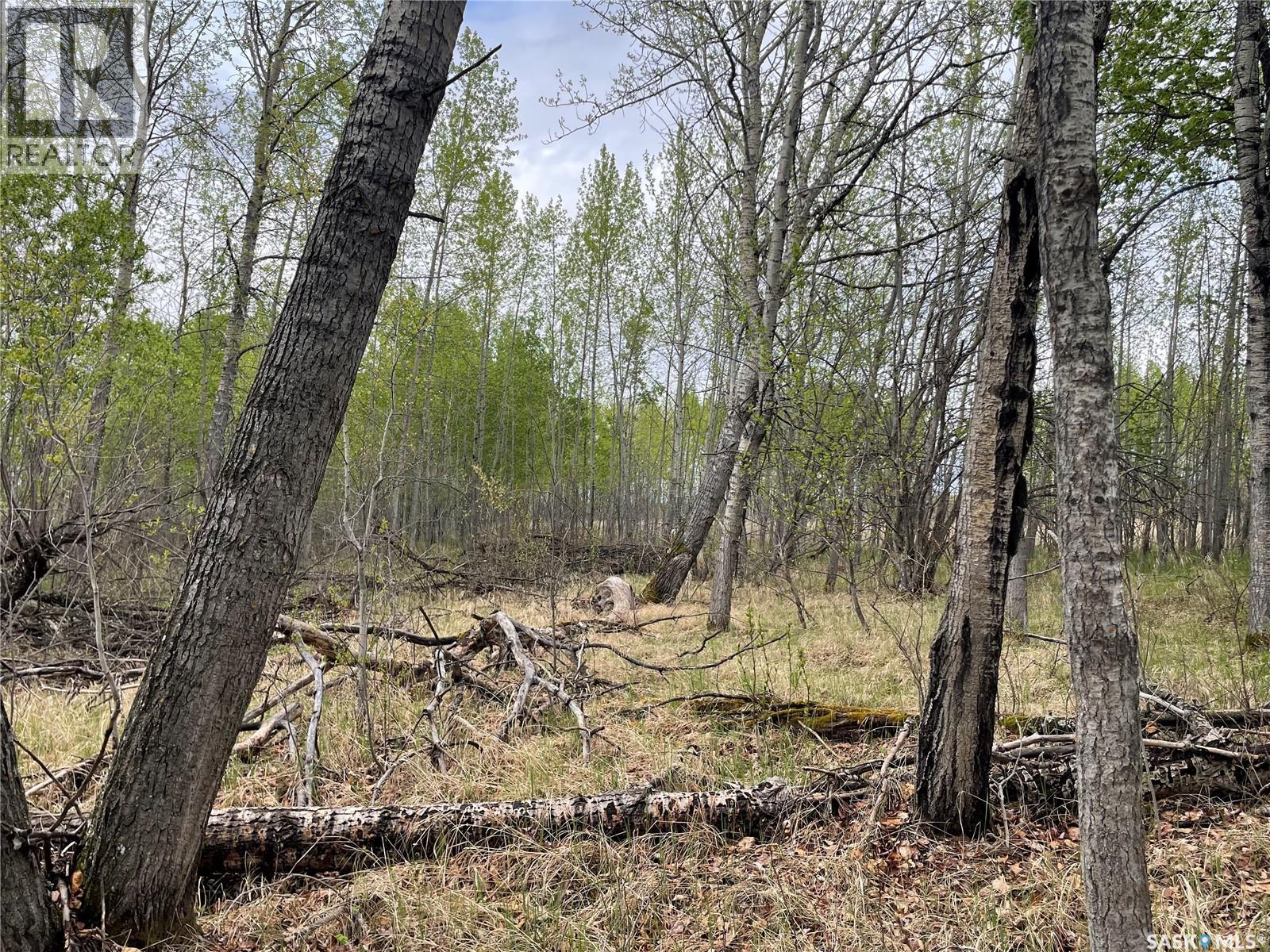 5.5km South Of Dorintosh Lot 2, Meadow Lake Rm No.588, Saskatchewan  S0M 0T0 - Photo 8 - SK022396