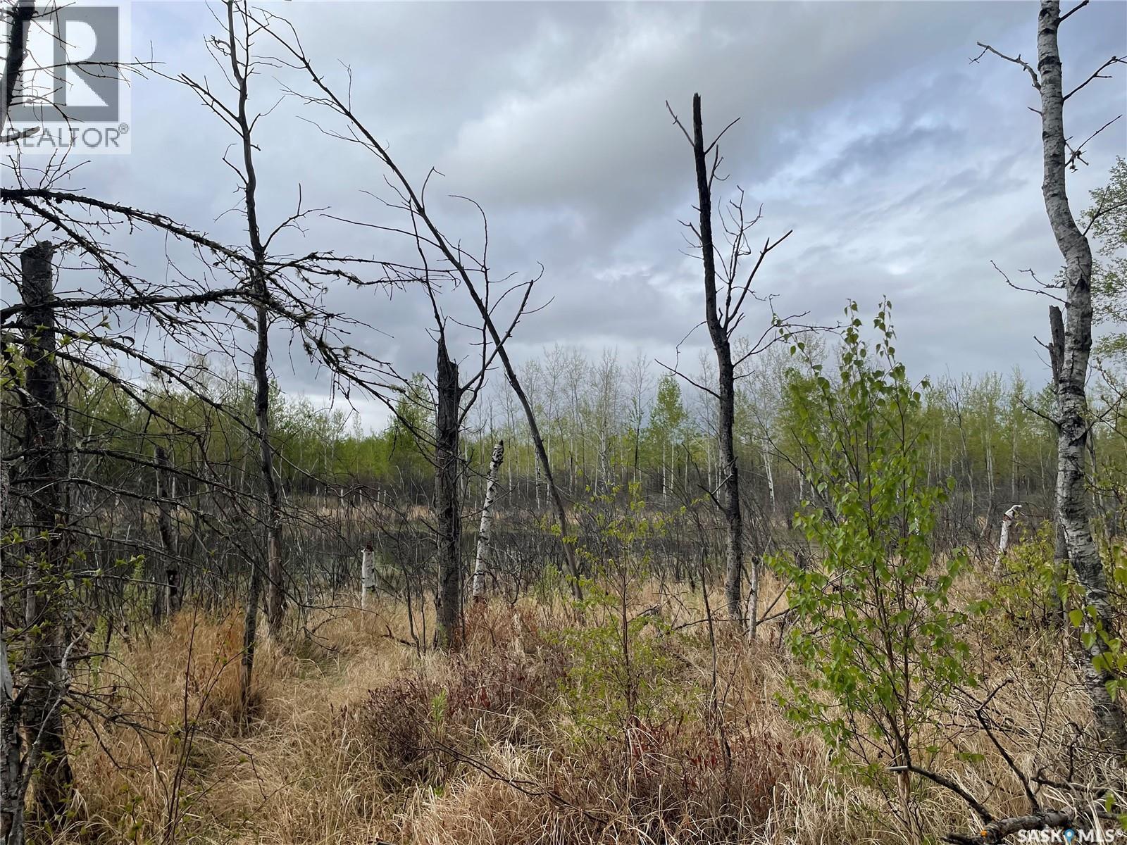 5.5km South Of Dorintosh Lot 2, Meadow Lake Rm No.588, Saskatchewan  S0M 0T0 - Photo 9 - SK022396