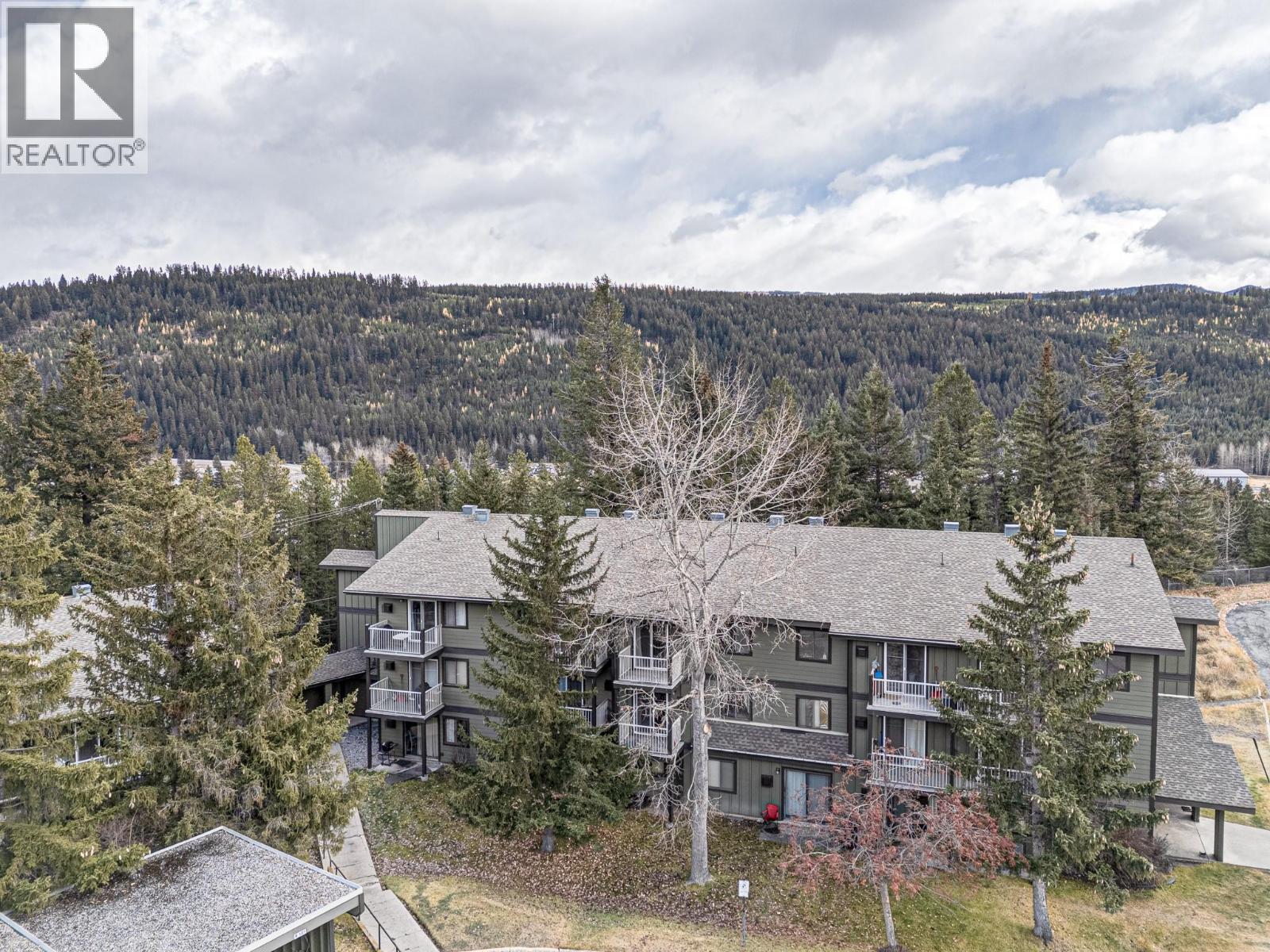 1802 ALPINE Drive Unit# 306A, elkford, British Columbia