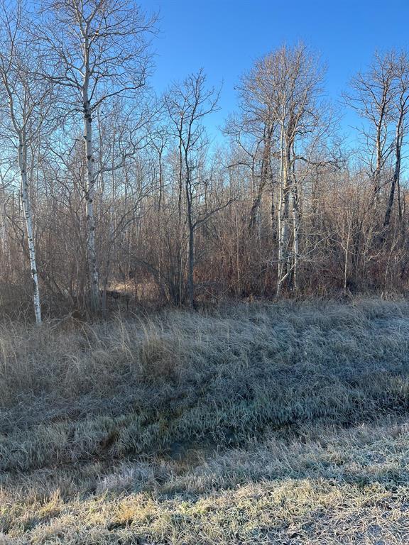 0 Loewen Boulevard, Steinbach, Manitoba R0A 0W0 - Photo 0 - 202527839