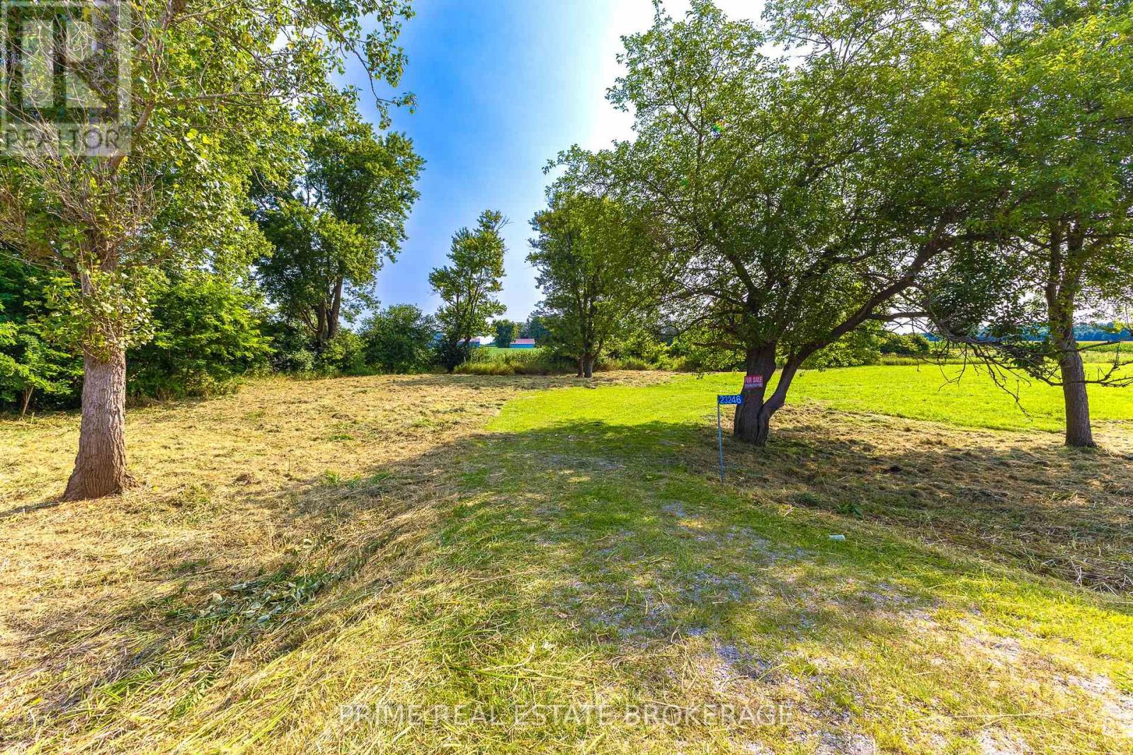 23246 Highbury Avenue, Middlesex Centre, Ontario N0M 1P0 - Photo 6 - X12512088