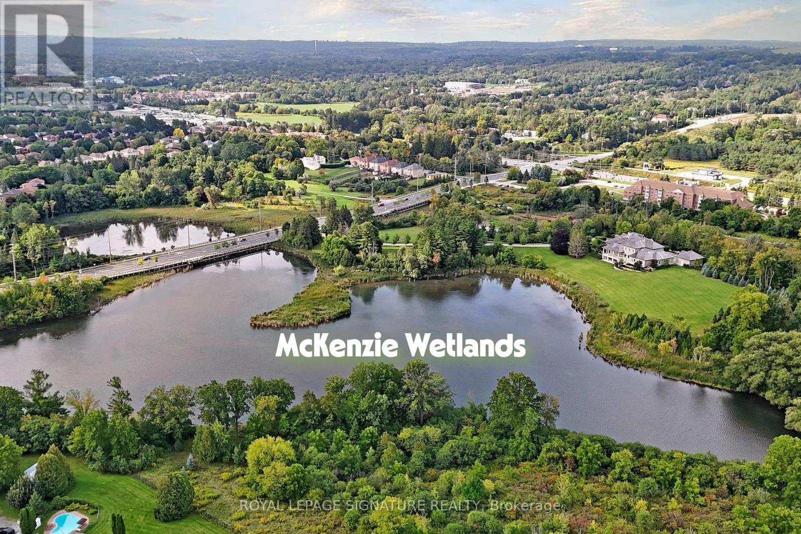 263 Pinnacle Trail, Aurora, Ontario  L4G 7G4 - Photo 45 - N12511688