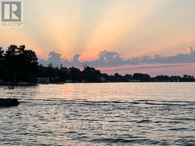 101 Hedge Road, Georgina, Ontario  L0E 1L0 - Photo 48 - N12511872