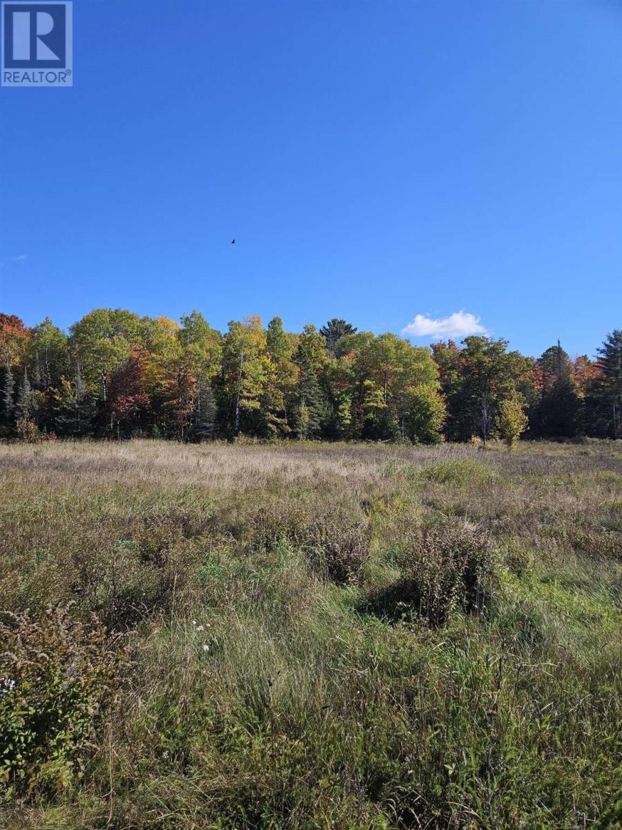 210 Braniff Rd, Bruce Mines, Ontario  P0R 1L0 - Photo 20 - SM253095