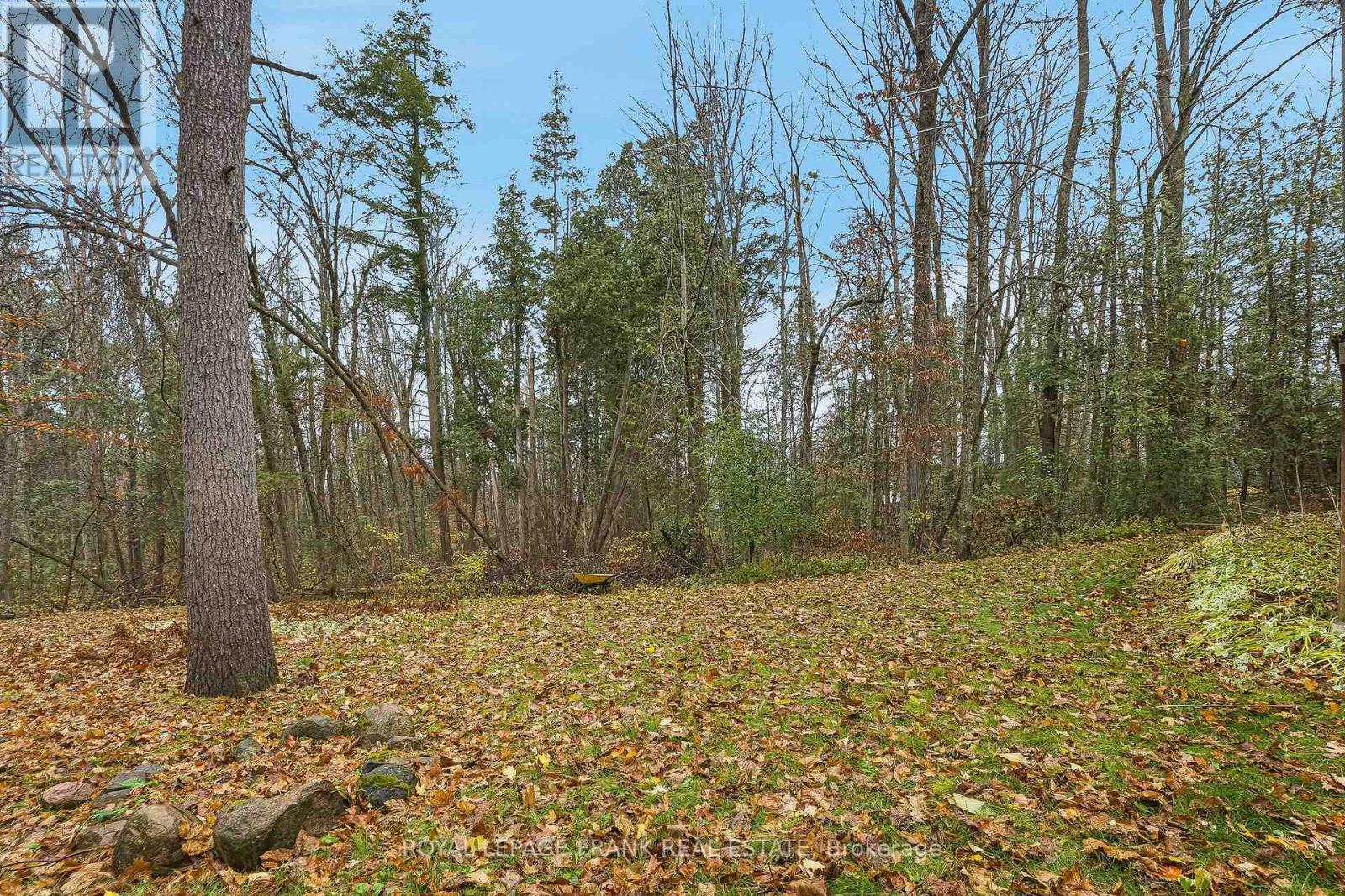 23 Trillium Court, Kawartha Lakes (Emily), Ontario  K0L 2W0 - Photo 46 - X12511928