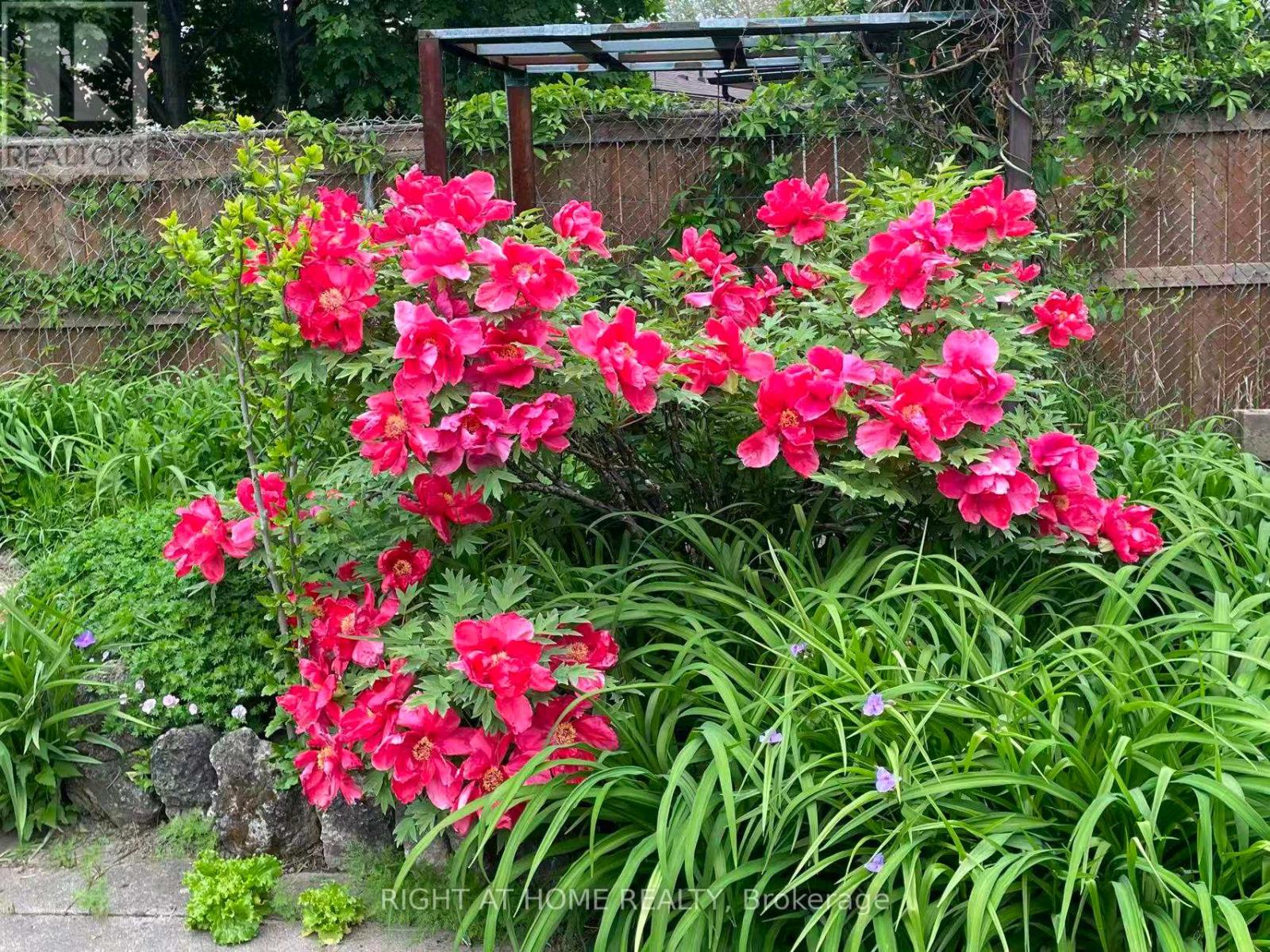 26 Dixfield Drive, Toronto, Ontario  M9C 4J1 - Photo 45 - W12511790