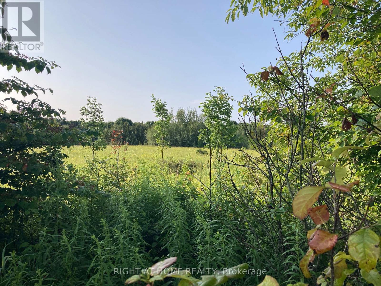 0 Southgate Road, Southgate, Ontario  N0C 1B0 - Photo 4 - X12148720