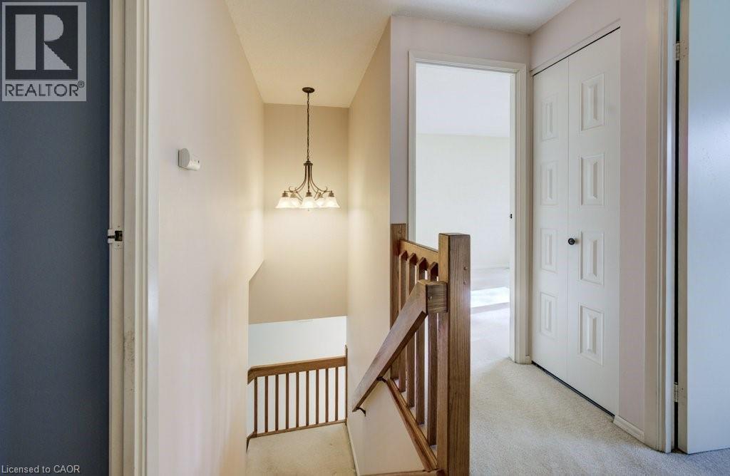 14 Broadview Court, Kitchener, Ontario  N2A 2X8 - Photo 24 - 40784767