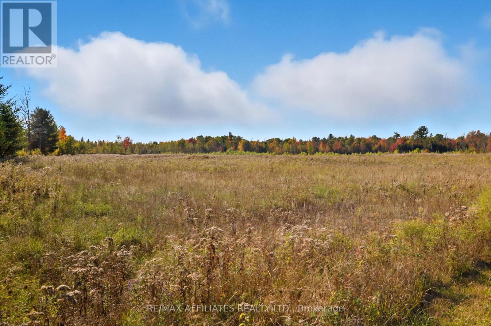 1606 Pittston Road, Edwardsburgh/cardinal, Ontario  K0E 1X0 - Photo 19 - X12512304