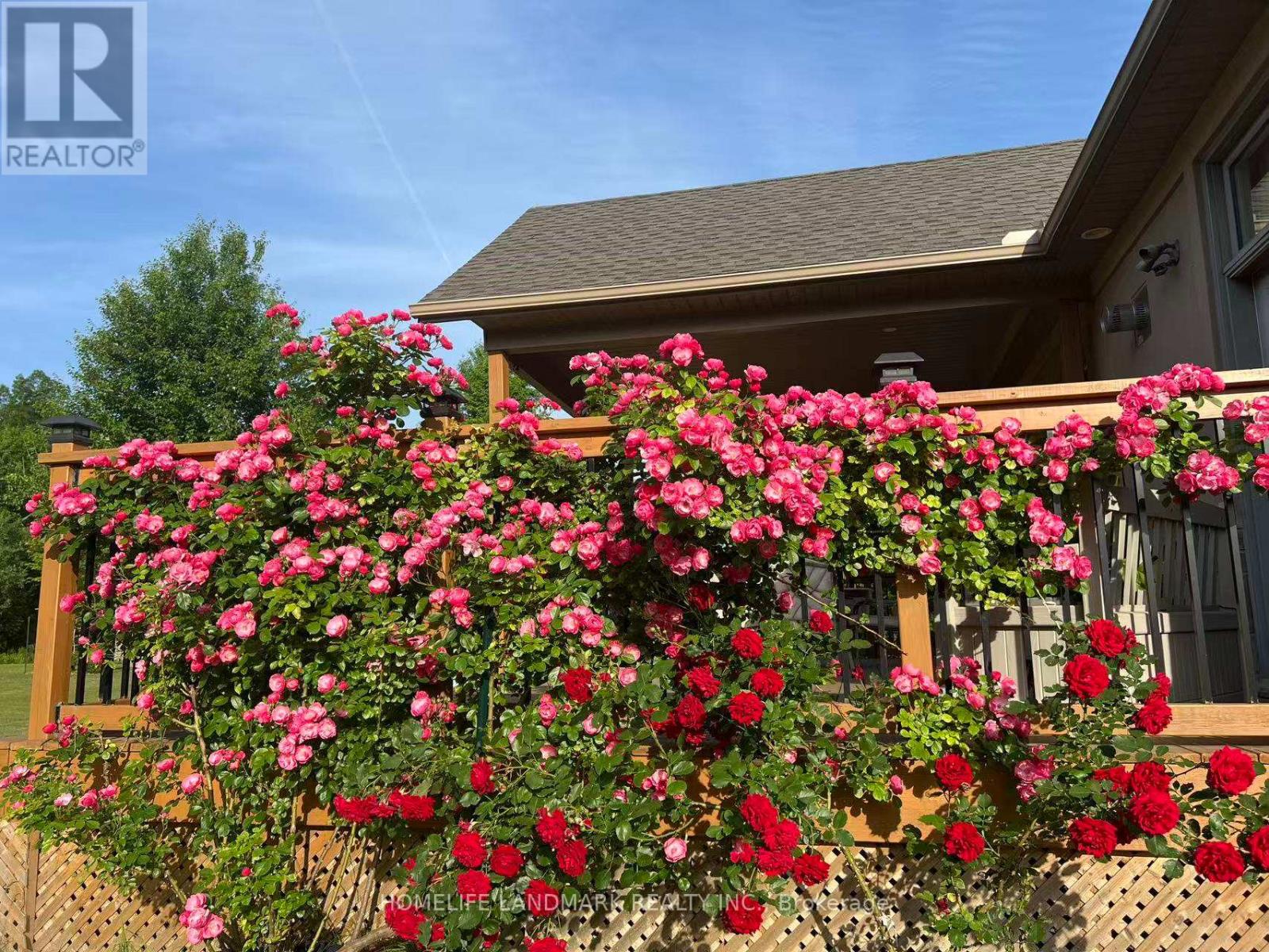 12 Clarinda Drive, Toronto, Ontario  M2K 2W7 - Photo 25 - C12512232