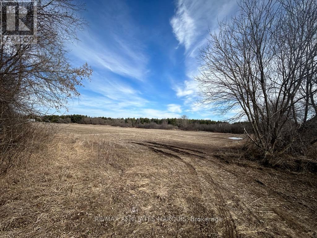 438 Pioneer Road, Merrickville-Wolford, Ontario  K0G 1N0 - Photo 4 - X12512534