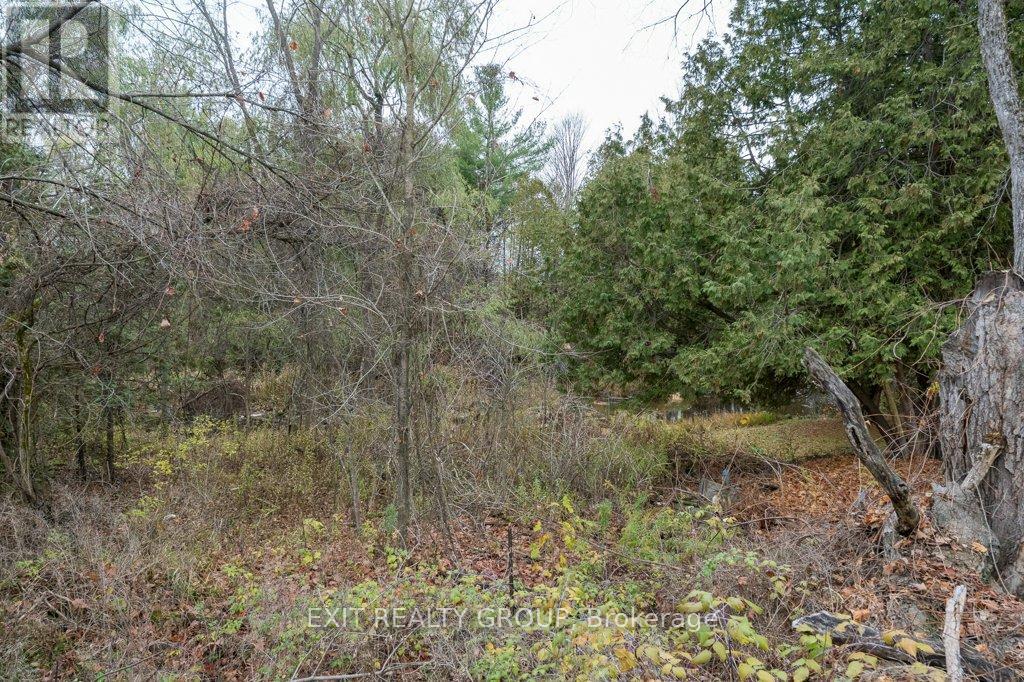 294 Durham Street S, Centre Hastings, Ontario K0K 2K0 - Photo 31 - X12512324