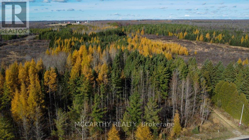 245819 Sourthgate 24 Road, Southgate, Ontario  N0C 1L0 - Photo 41 - X12512222