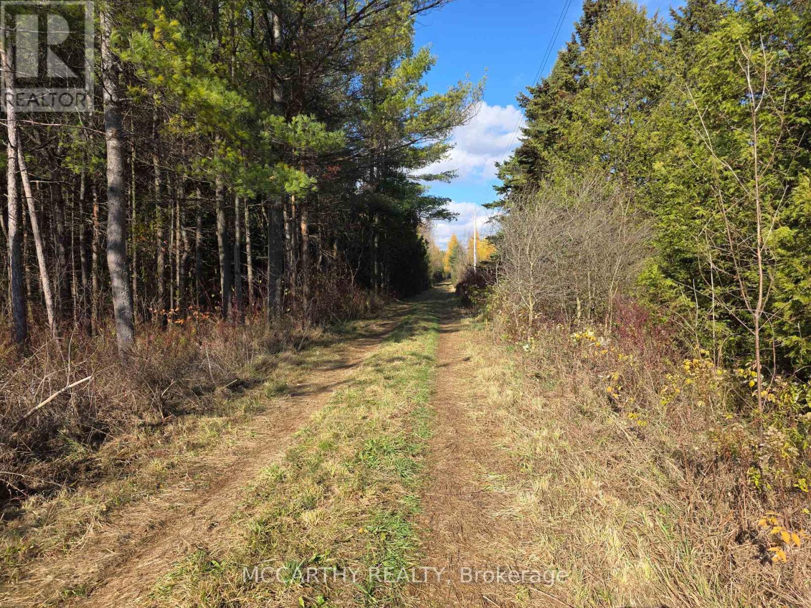 245819 Sourthgate 24 Road, Southgate, Ontario  N0C 1L0 - Photo 48 - X12512222