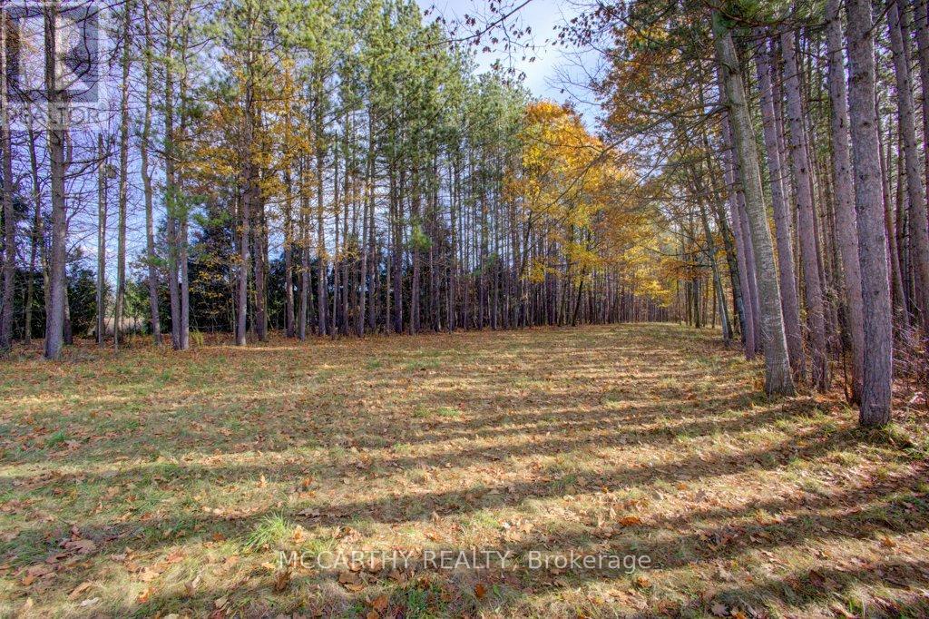 245819 Sourthgate 24 Road, Southgate, Ontario  N0C 1L0 - Photo 6 - X12512222