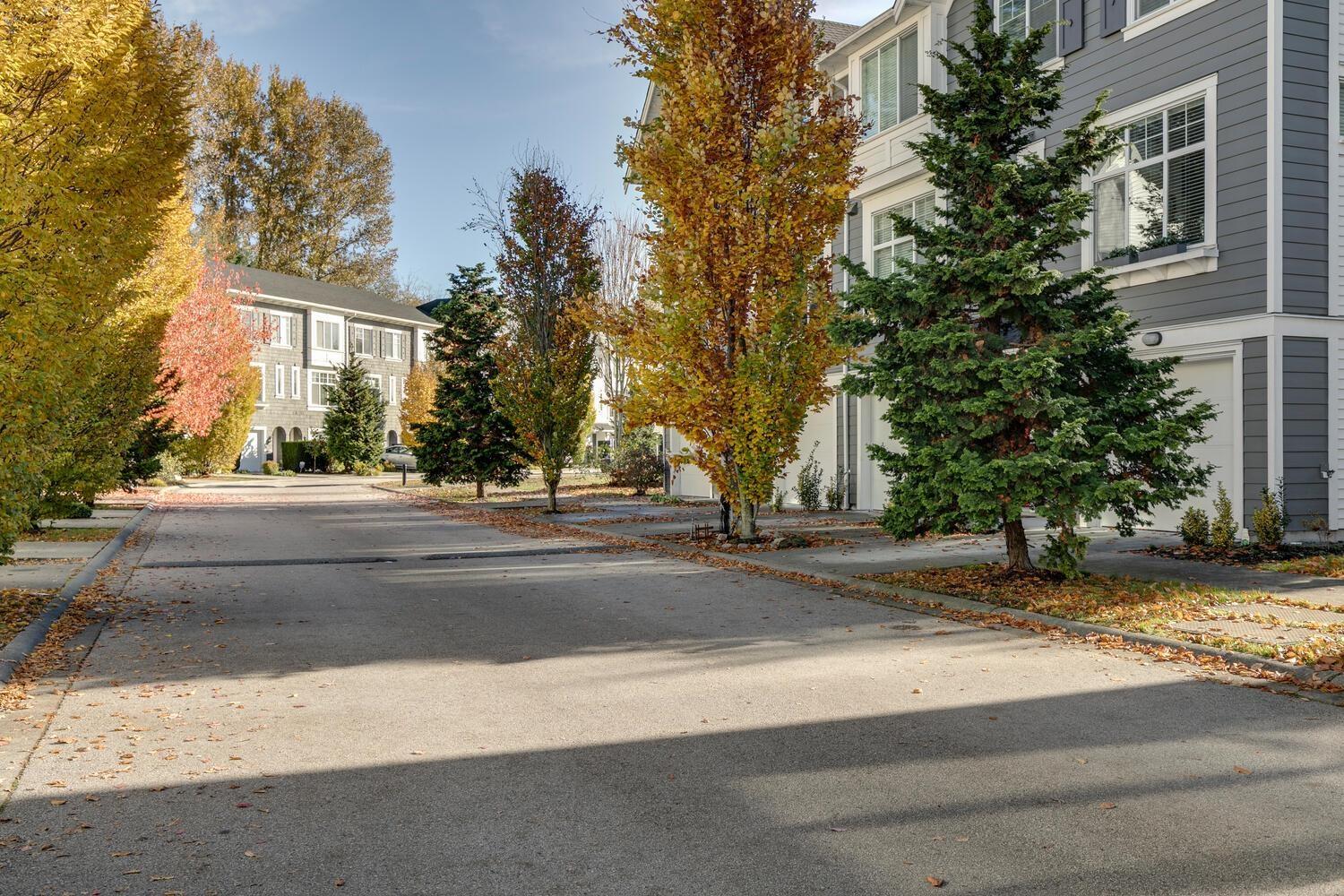 39 18681 68 Avenue, Surrey, British Columbia  V4N 6P3 - Photo 39 - R3050340