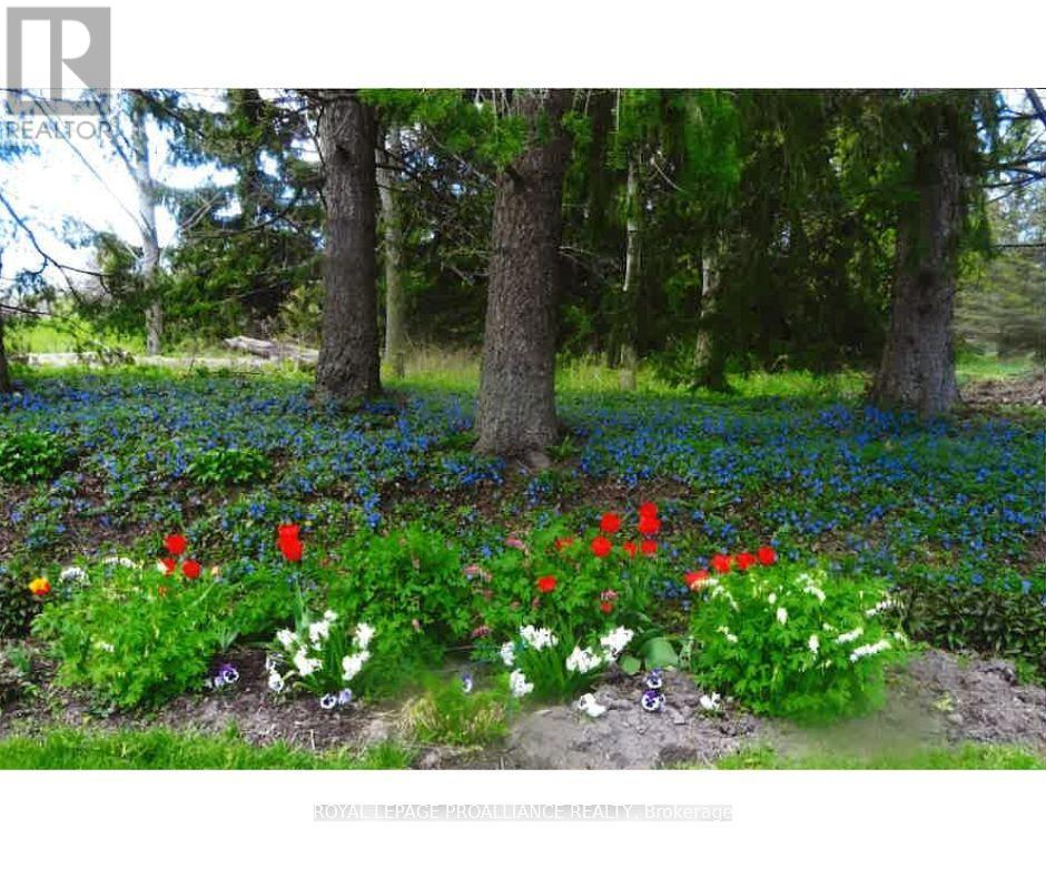 7 North Drive, Brighton, Ontario K0K 1H0 - Photo 7 - X12512252