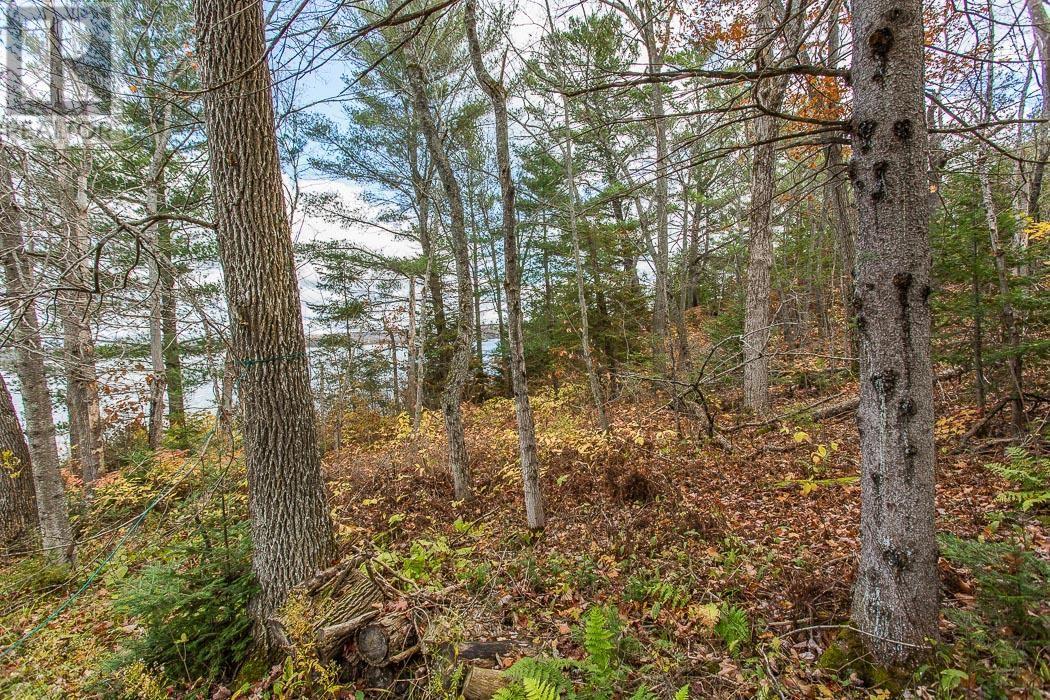 2544 Dayton Rd, Huron Shores, Ontario P0R 1H0 - Photo 26 - SM253093