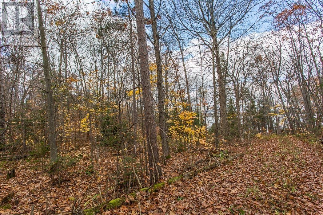 2544 Dayton Rd, Huron Shores, Ontario P0R 1H0 - Photo 29 - SM253093