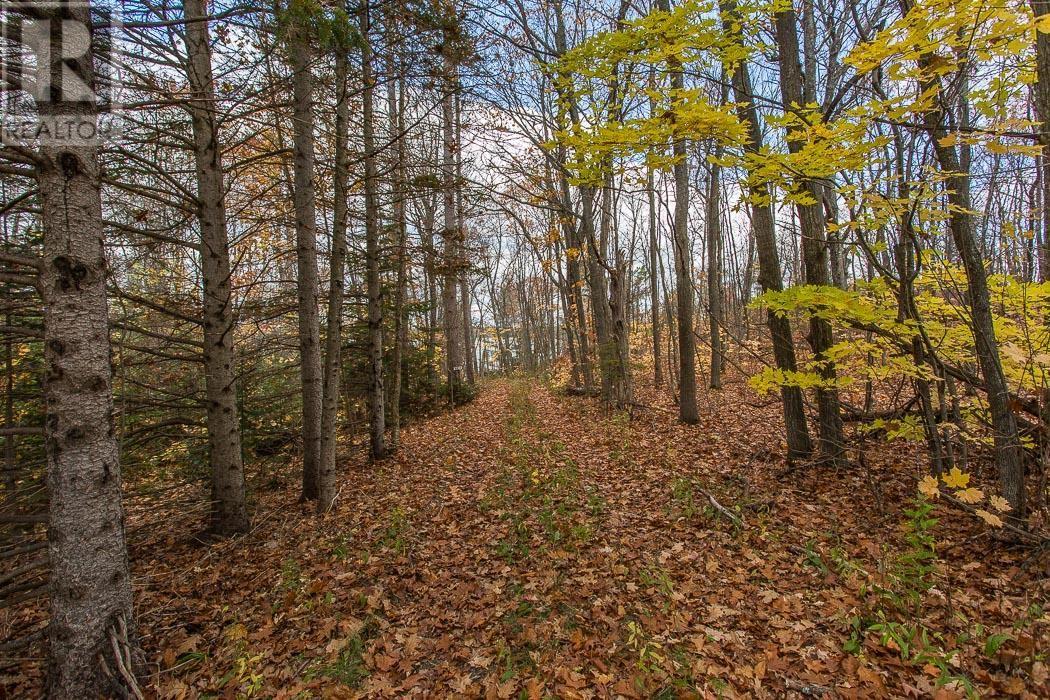 2544 Dayton Rd, Huron Shores, Ontario P0R 1H0 - Photo 31 - SM253093