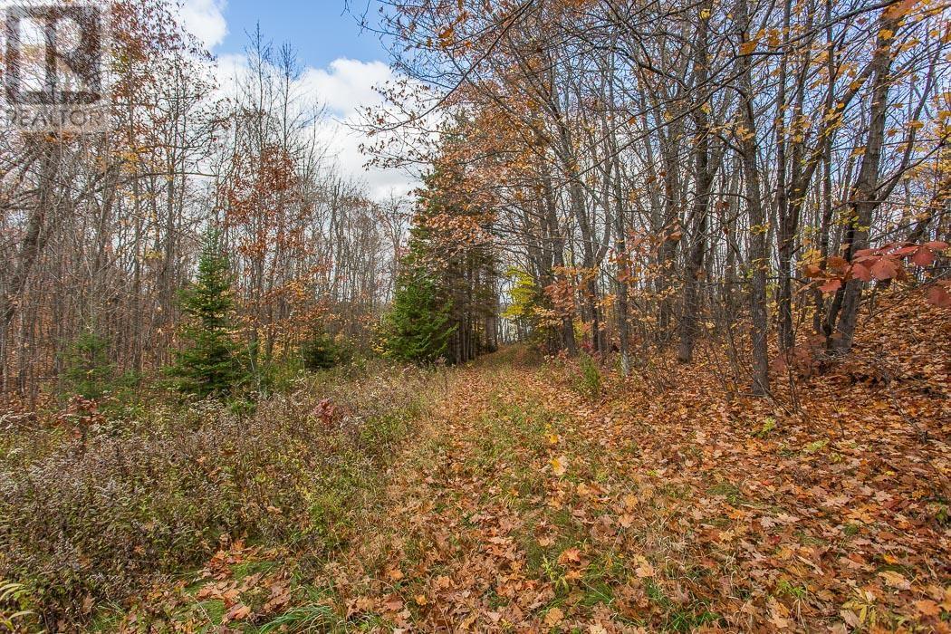 2544 Dayton Rd, Huron Shores, Ontario P0R 1H0 - Photo 32 - SM253093