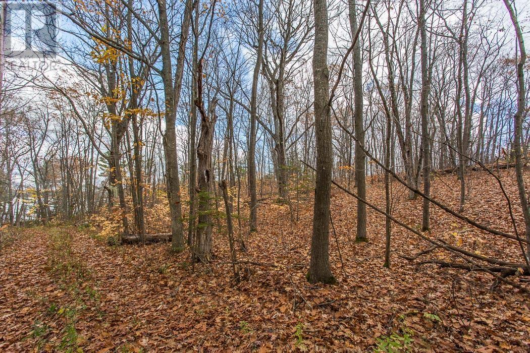 2544 Dayton Rd, Huron Shores, Ontario P0R 1H0 - Photo 30 - SM253093