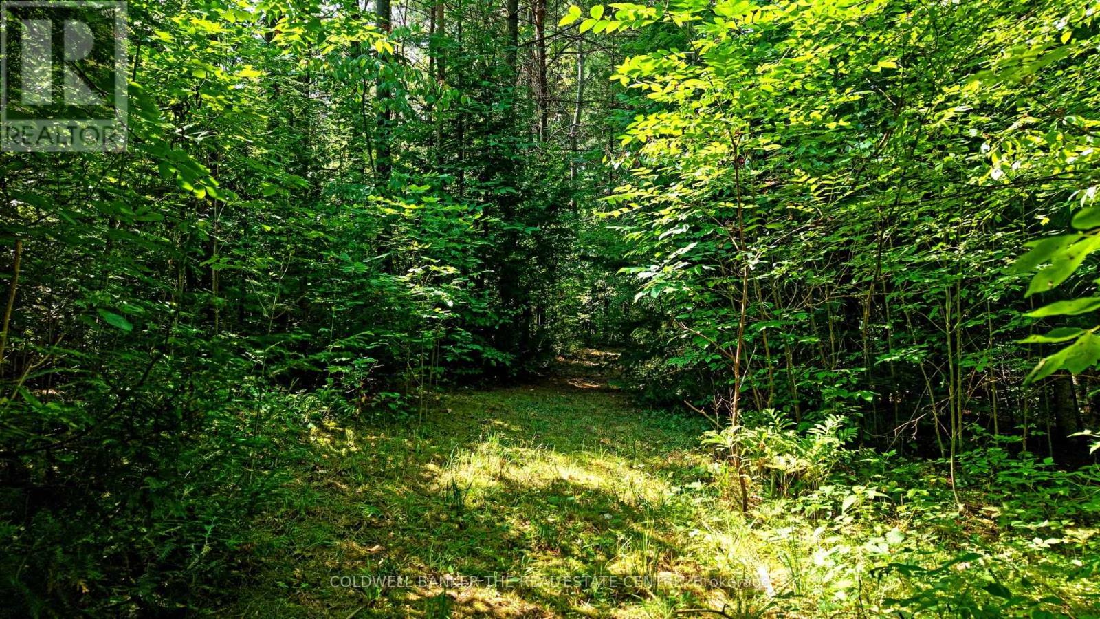 15600 Weston Road, King, Ontario  L7B 0L1 - Photo 17 - N12512424