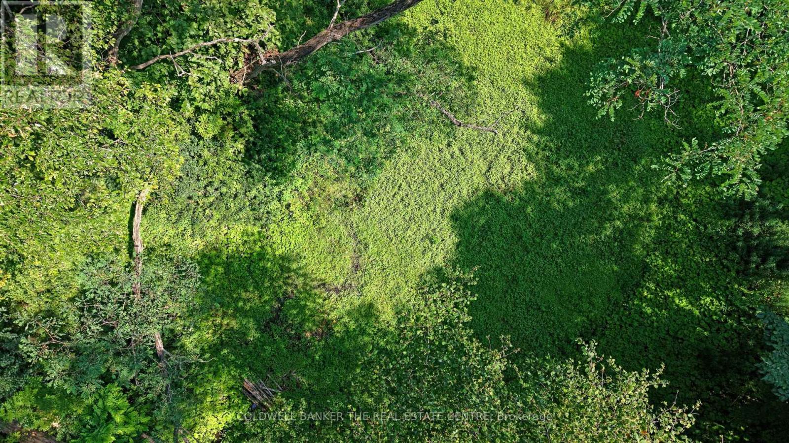 15600 Weston Road, King, Ontario  L7B 0L1 - Photo 20 - N12512424