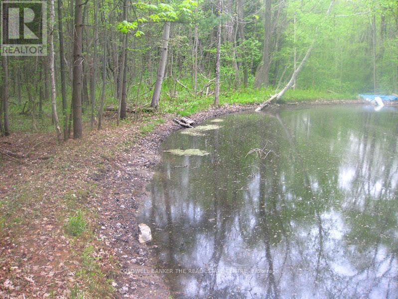 15600 Weston Road, King, Ontario  L7B 0L1 - Photo 30 - N12512424